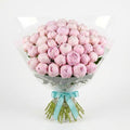 Blush Pink Peonies XL