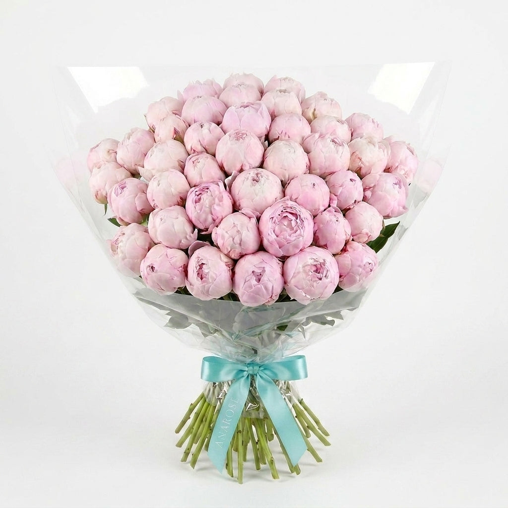 Blush Pink Peonies XL