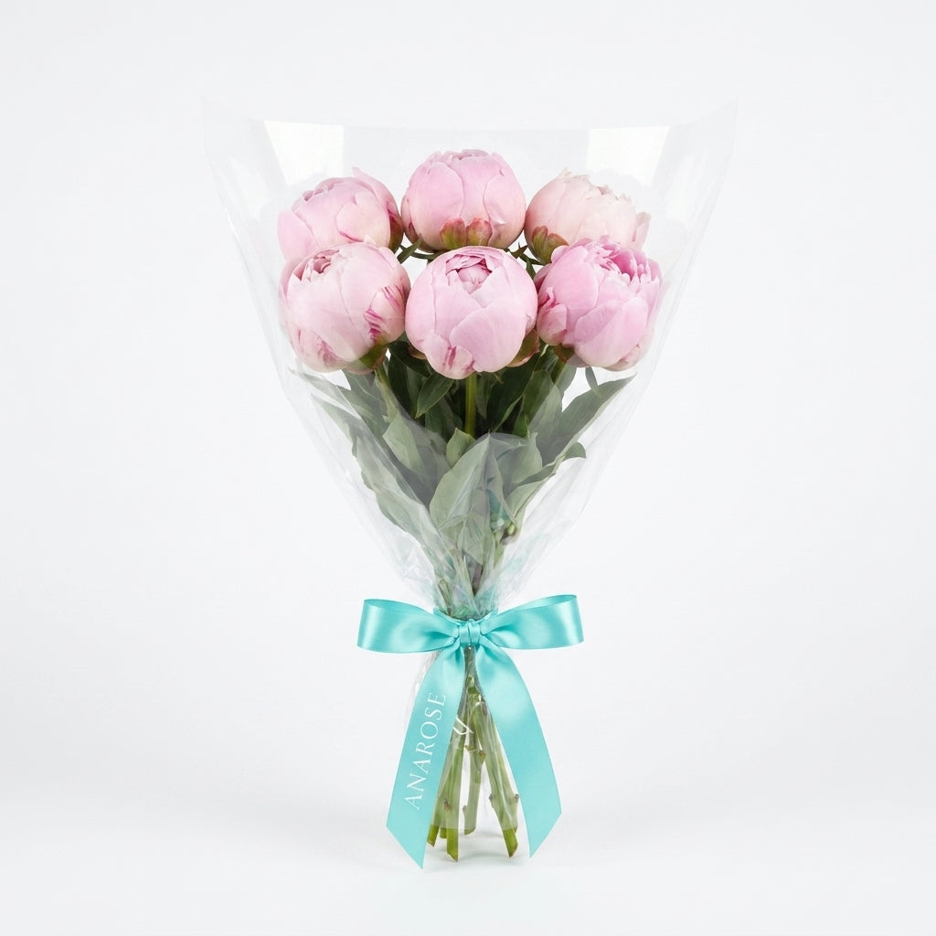 Blush Pink Peonies S