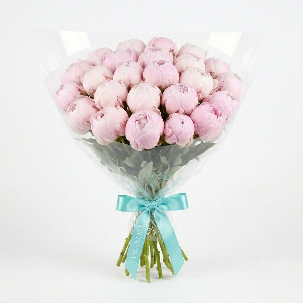 Blush Pink Peonies L