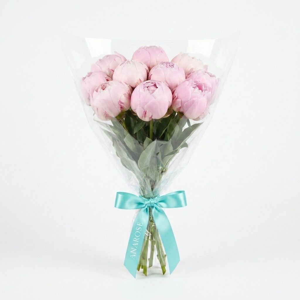 Blush Pink Peonies M